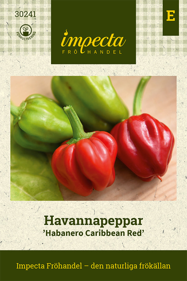 Frø: Habanero-chili 'Habanero Caribbean Red'
