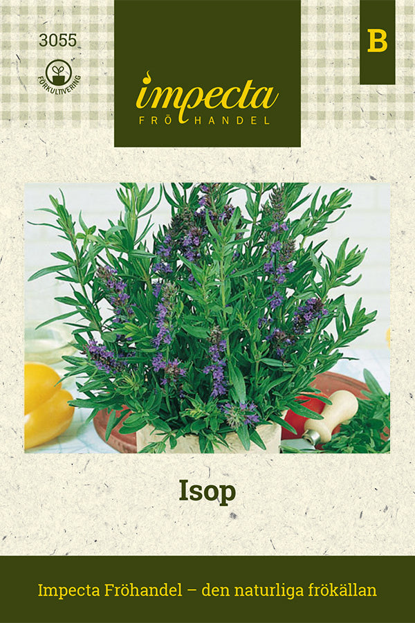 Frø: Isop