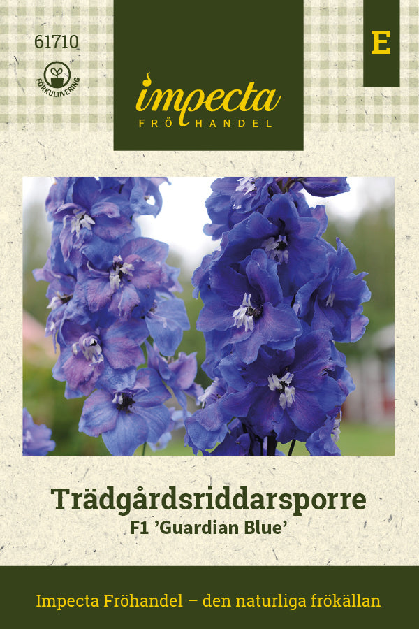 Frø: Have Ridderspore F1 'Guardian Blue'