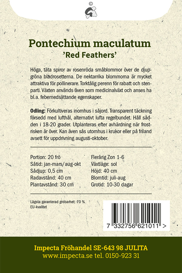 Frø: Purpurslangehoved 'Red Feathers'