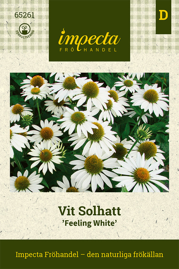 Frø: Purpursolhat 'Feeling White'