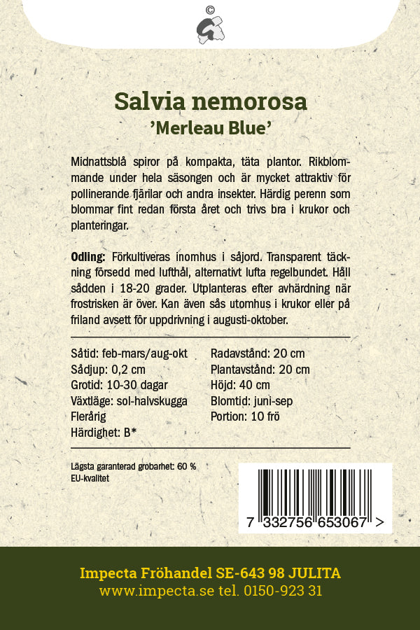 Frø: Staudesalvie 'Merleau Blue'