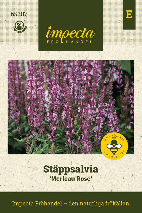 Frø: Staudesalvie 'Merleau Rose'