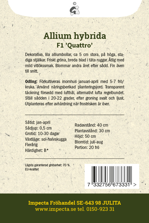 Frø: Prydløg Allium F1 'Quattro'