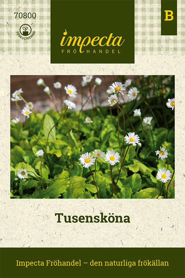 Frø: Tusindfryd