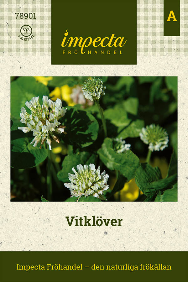 Frø: Hvidkløver