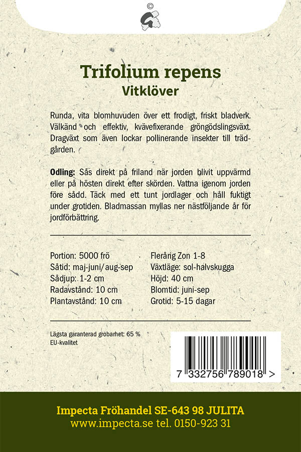 Frø: Hvidkløver