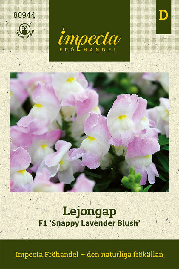 Frø: Løvemund F1 'Snappy Lavender Blush'