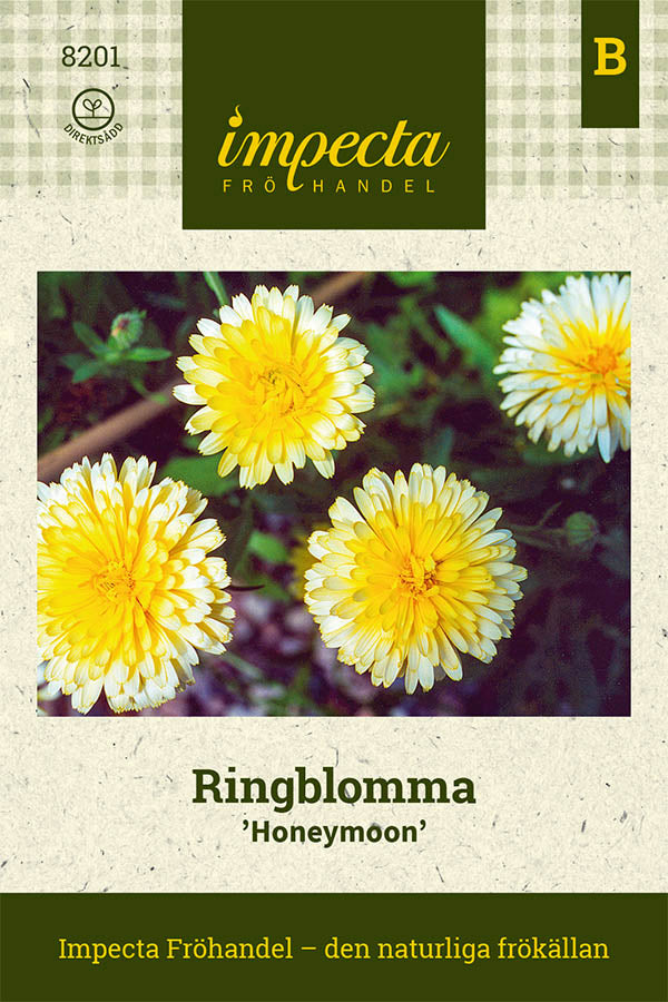 Frø: Morgenfrue 'Honeymoon'