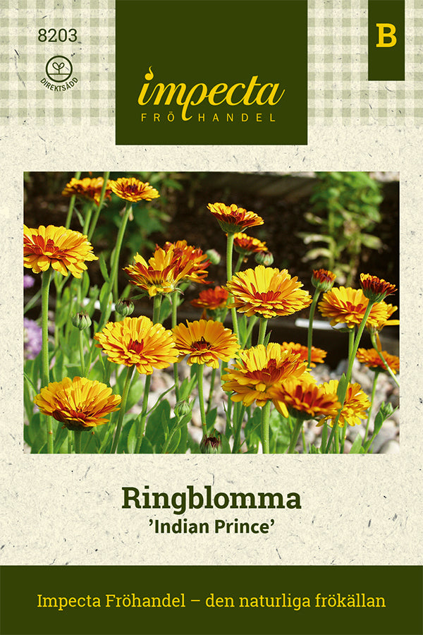 Frø: Morgenfrue 'Indian Prince'