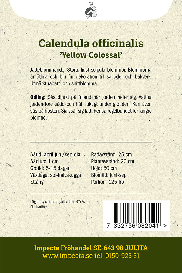 Frø: Morgenfrue 'Yellow Colossal'