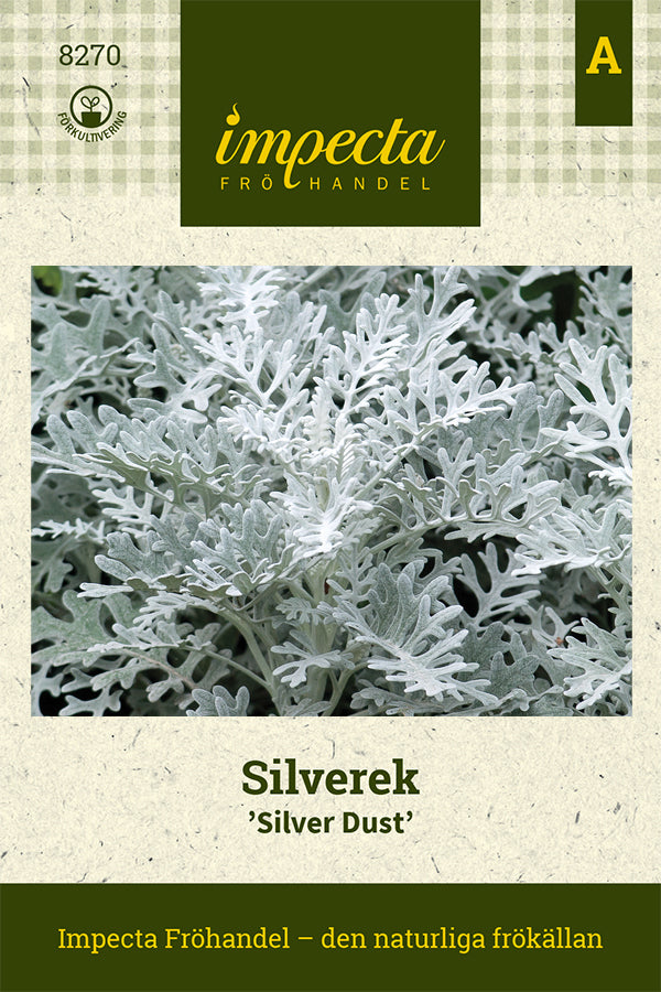 Frø: Gråblad 'Silver Dust'