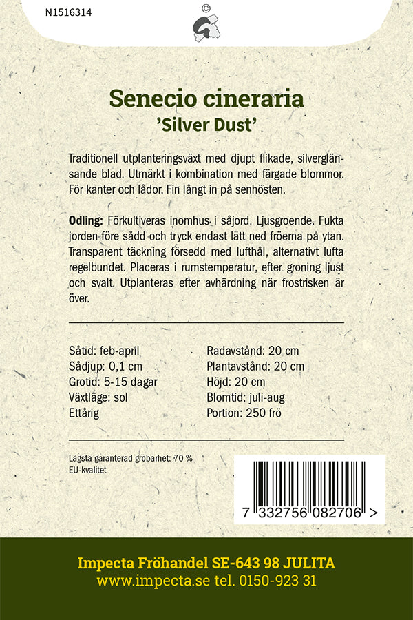 Frø: Gråblad 'Silver Dust'