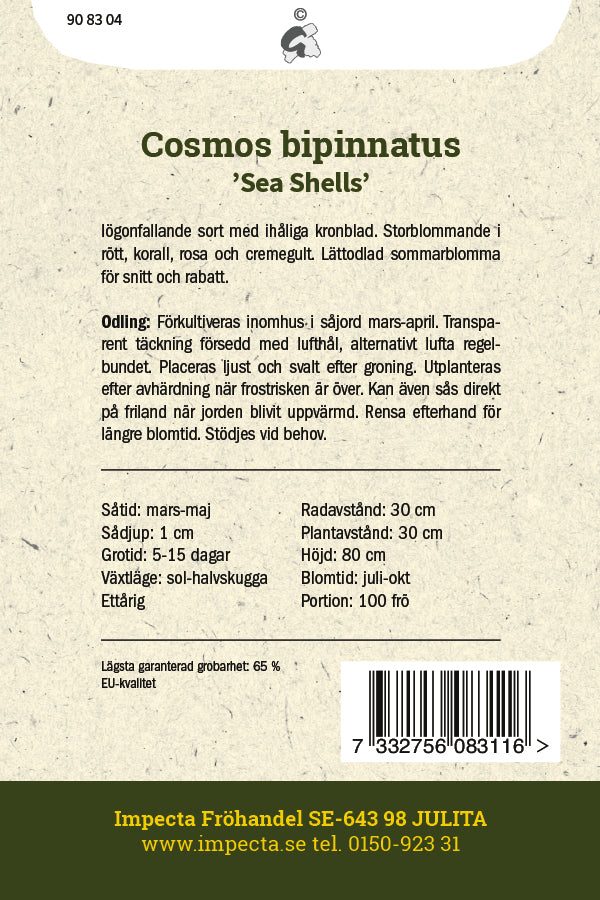 Frø: Stolt kavaler 'Sea Shells'