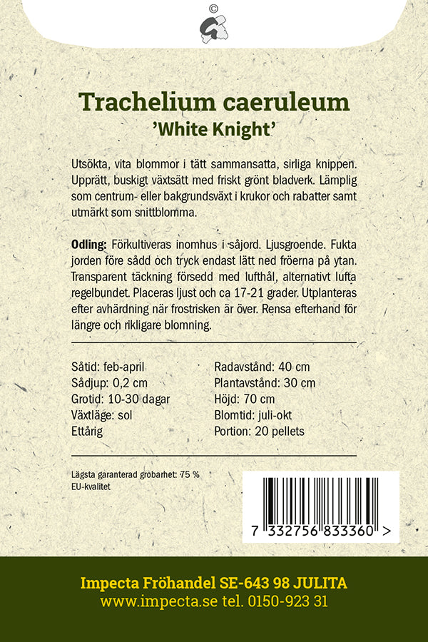 Frø: Nælde-Klokke 'White Knight'