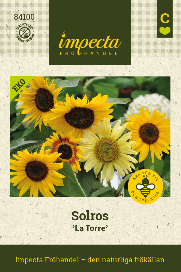 Frø: Solsikke 'La Torre'