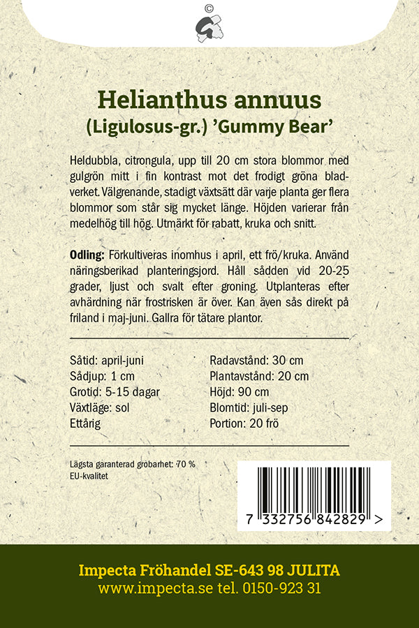 Frø: Fyldig Solsikke 'Gummy Bear'