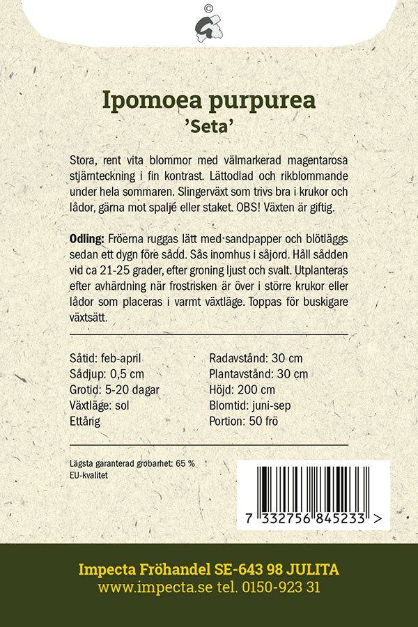 Frø: Purpurpragtsnerle 'Seta'