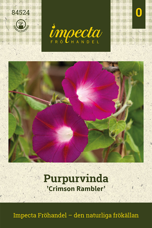 Frø: Purpurpragtsnerle 'Crimson Rambler'