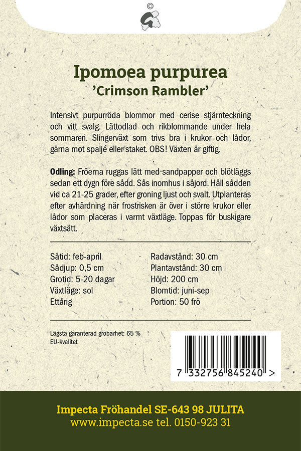 Frø: Purpurpragtsnerle 'Crimson Rambler'