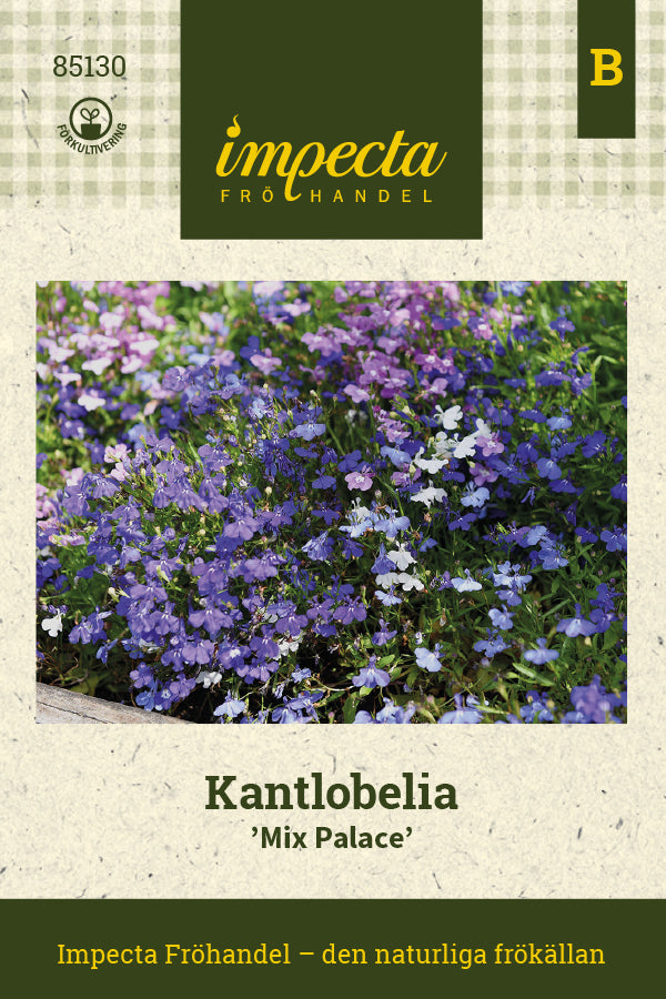 Frø: Kantlobelia 'Mix Palace'