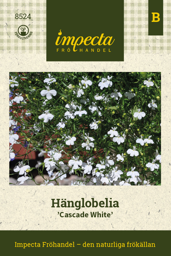 Frø: Hængelobelia 'Cascade White'
