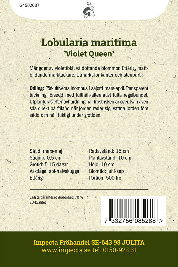 Frø: Biblomme 'Violet Queen'