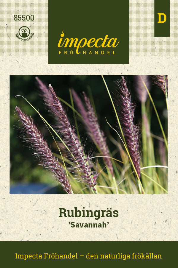 Frø: Rubingræs 'Savannah'