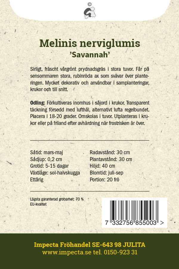 Frø: Rubingræs 'Savannah'
