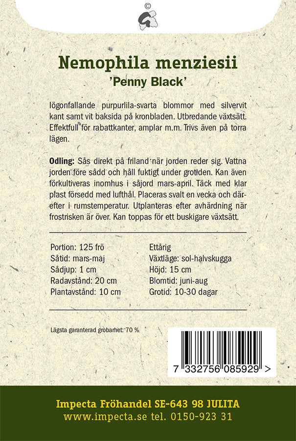 Frø: Blå Øjeblomst 'Penny Black'