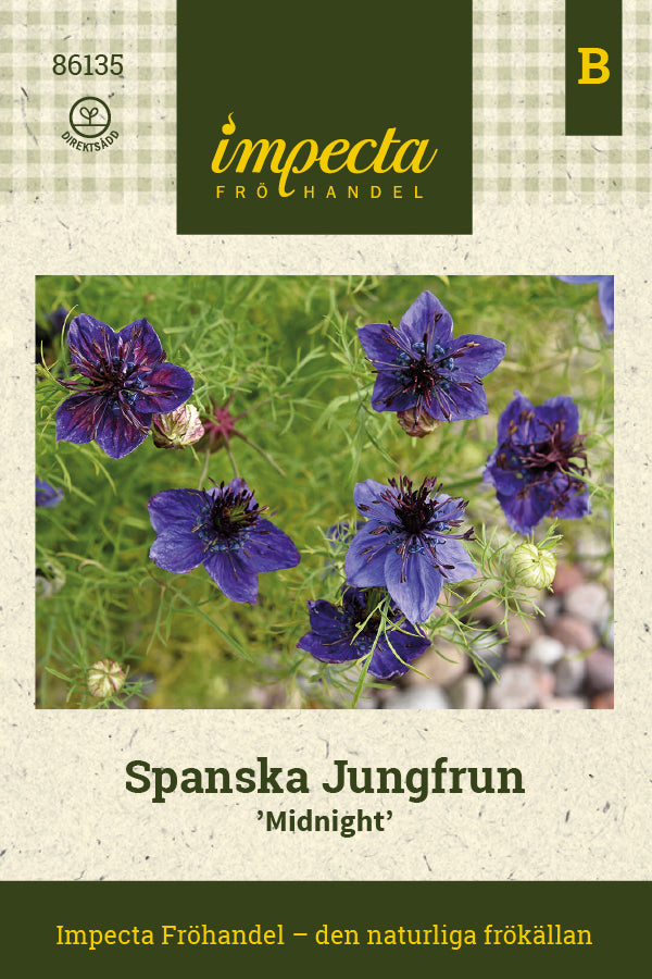Frø: Spansk jomfru 'Midnight'