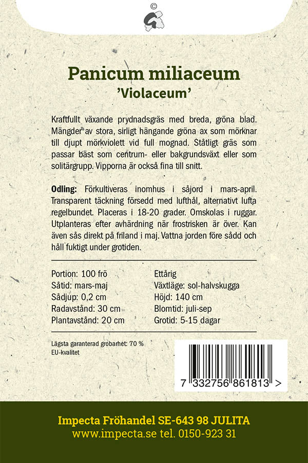 Frø: Hirse 'Violaceum'
