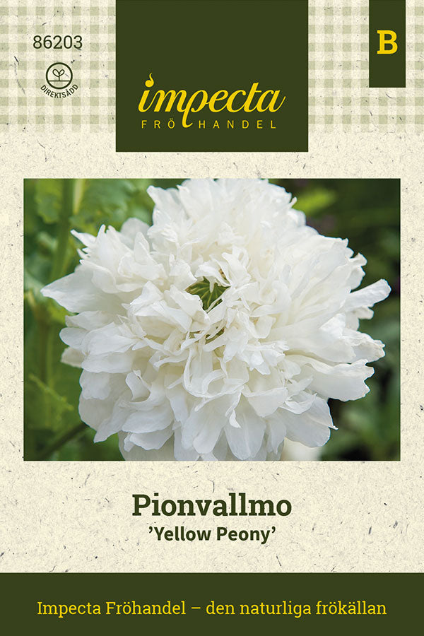 Frø: Pæonvalmue 'Yellow Peony'