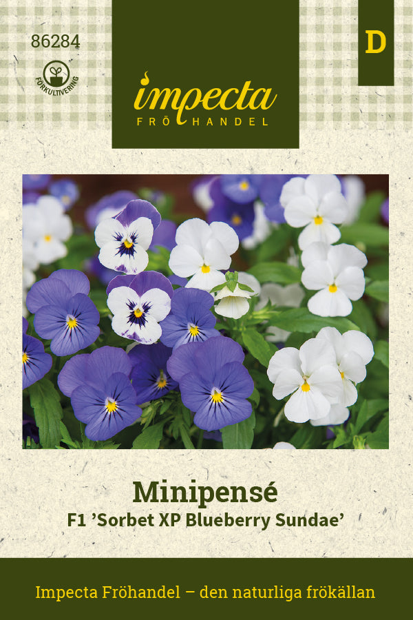 Frø: Hornviol F1 'Sorbet XP Blueberry Sundae'