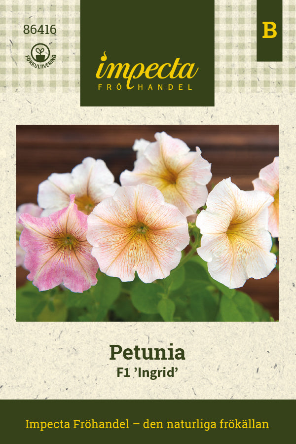 Frø: Petunia F1 'Ingrid'
