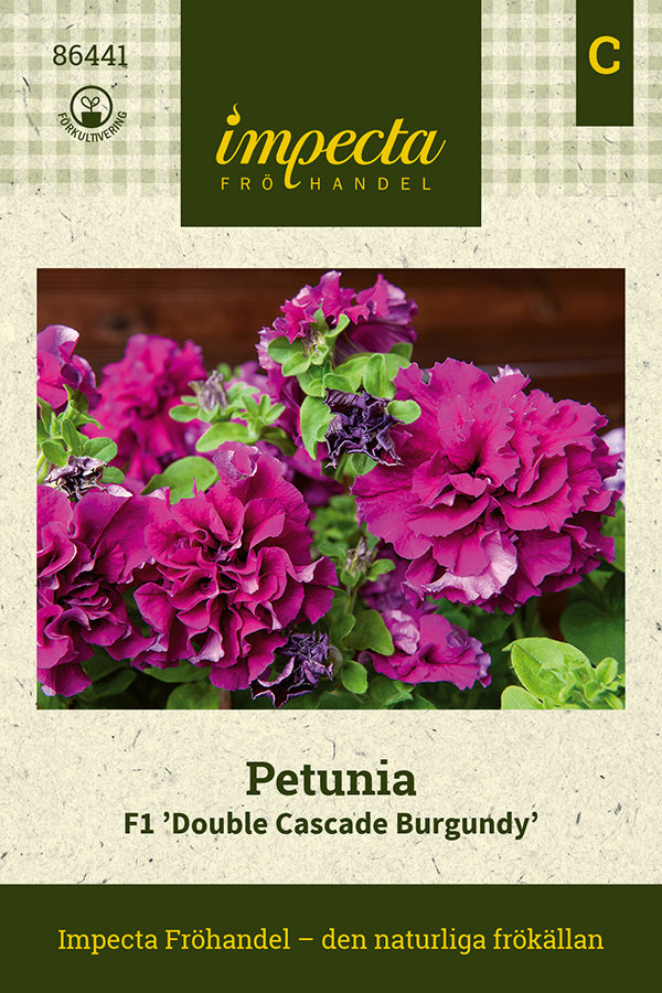 Frø: Petunia F1 'Double Cascade Burgundy'