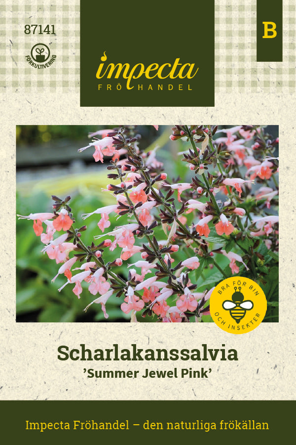 Frø: Skarlagensalvie 'Summer Jewel Pink'