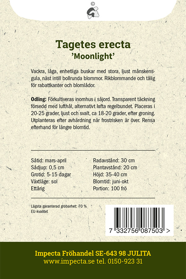 Frø: Stor Tagetes 'Moonlight'