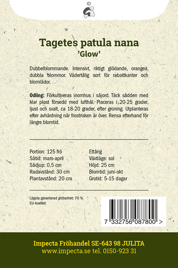 Frø: Fløjlsblomst 'Glow'