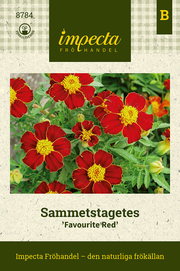 Frø: Fløjlsblomst 'Favourite Red'