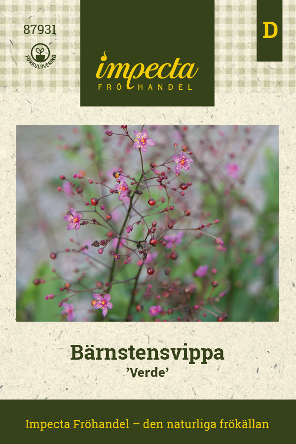 Frø: Talinum paniculatum 'Verde'