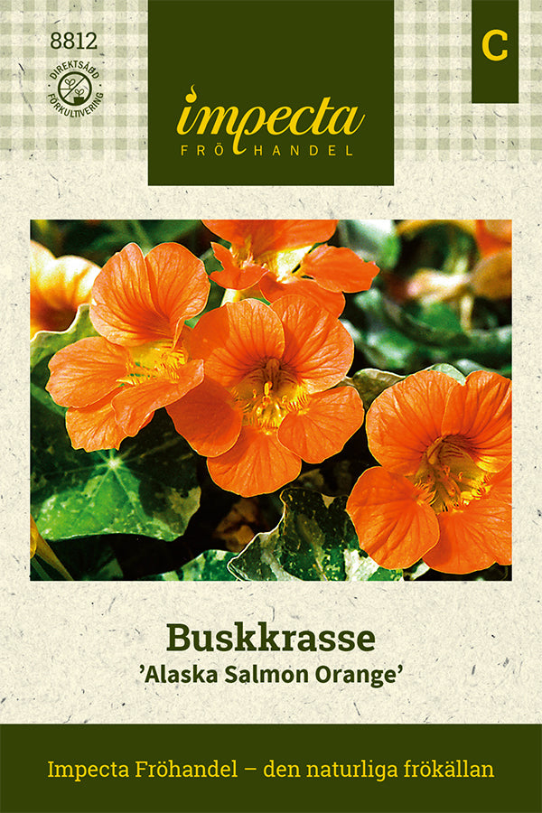 Frø: Tallerkensmækker 'Alaska Salmon Orange'