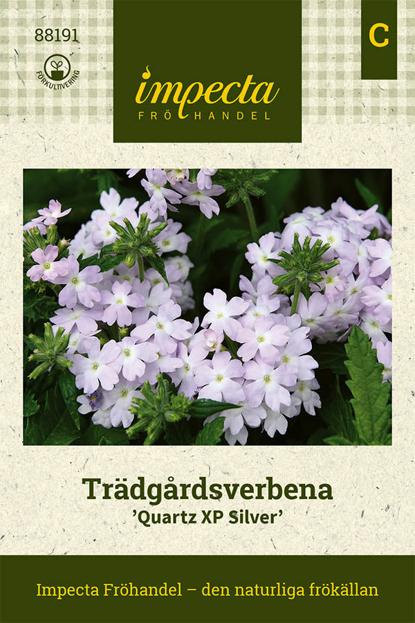 Frø: Have-verbena 'Quartz XP Silver'