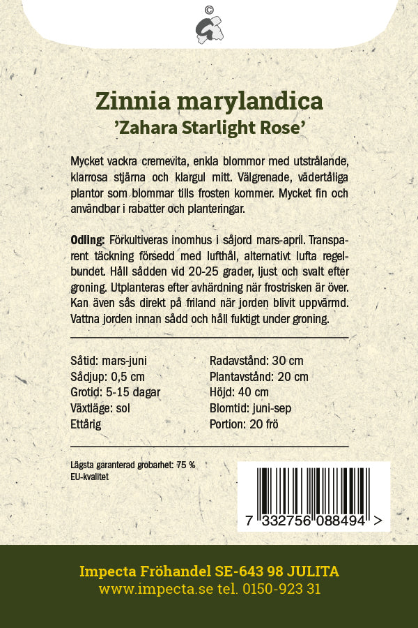 Frø: Frøkenhat 'Zahara Starlight Rose'