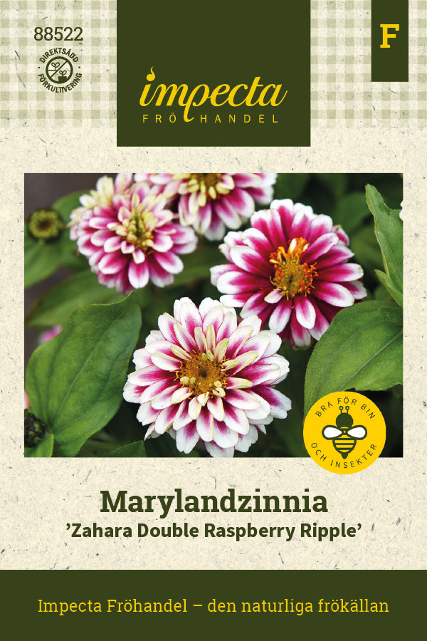 Frø: Frøkenhat 'Zahara Double Raspberry Ripple'