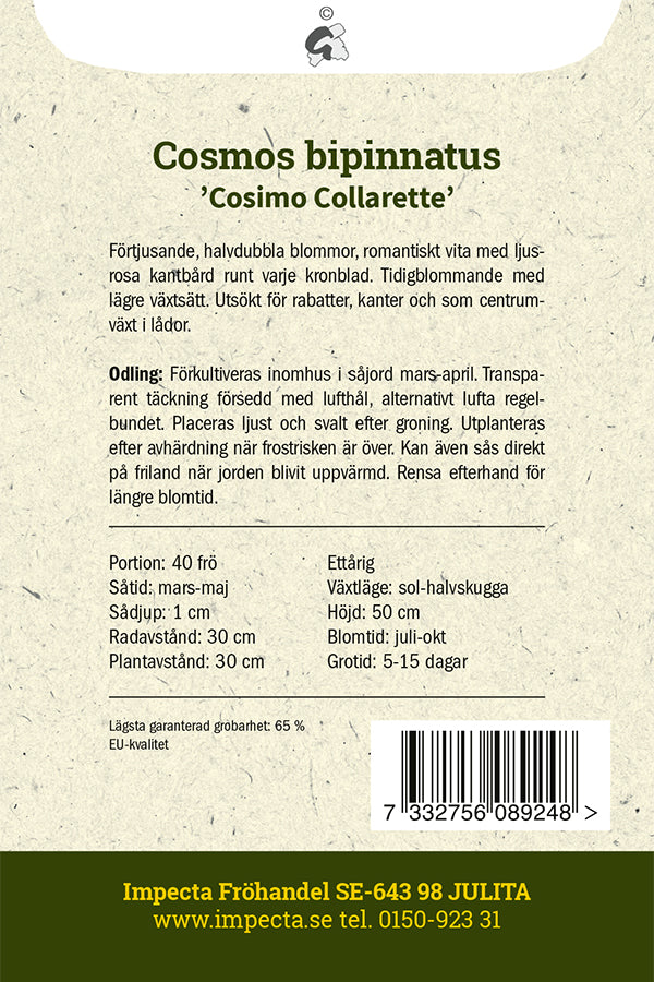 Frø: Stolt kavaler 'Cosimo Collarette'