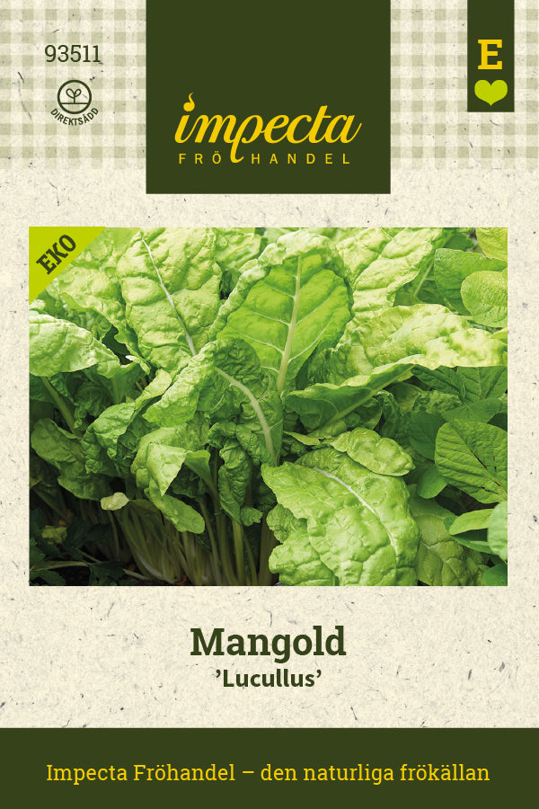 Frø: Mangold 'Lucullus'
