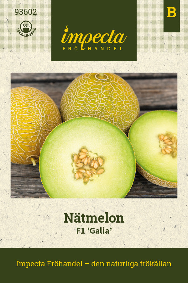 Frø: Netmelon F1 'Galia'
