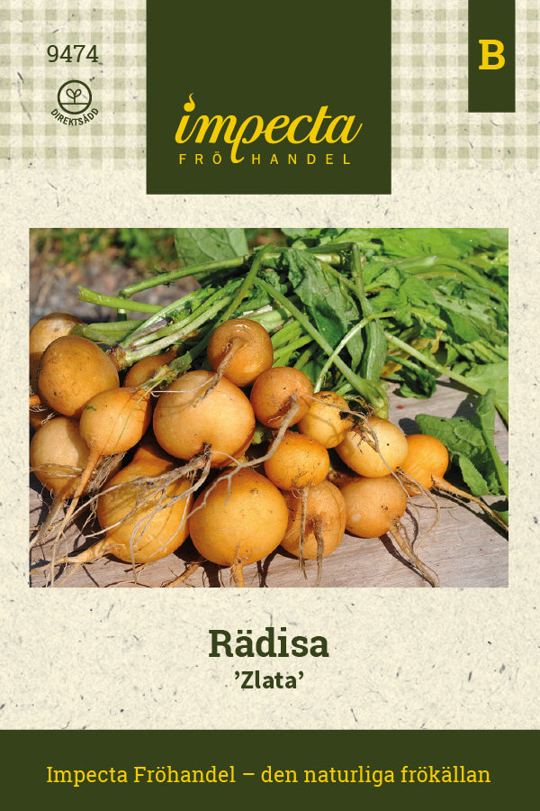 Frø: Radise 'Zlata'