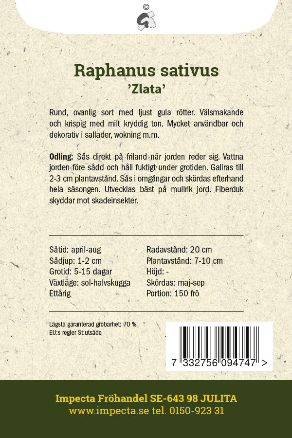 Frø: Radise 'Zlata'